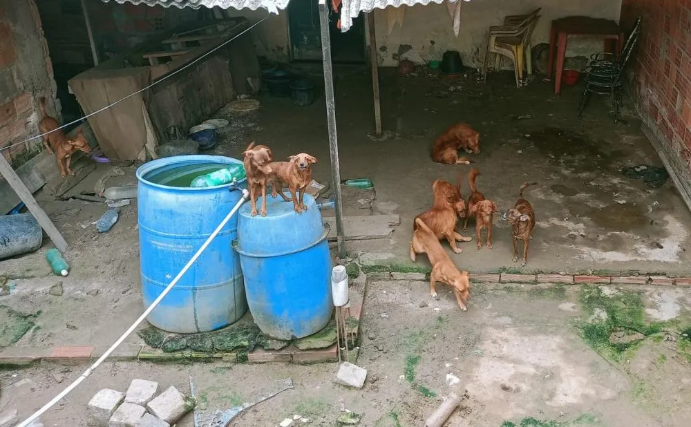 Foto