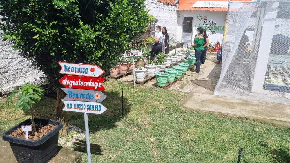 Fotos: Divulgação