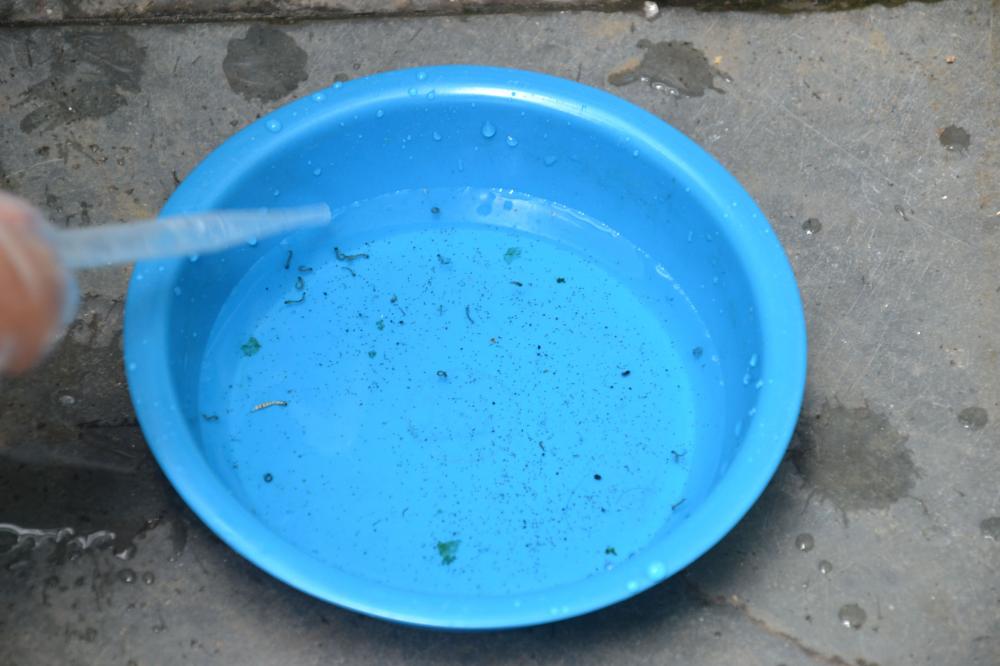 Casos de dengue crescem e autoridades entram em alerta