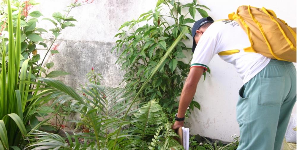 Feira tem redução de 19,5 por cento dos casos da dengue, Zika e Chikungunya