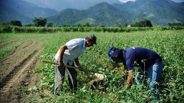 Agro cai 2,5% no PIB do 1º semestre; saiba se impacto reflete na Bahia