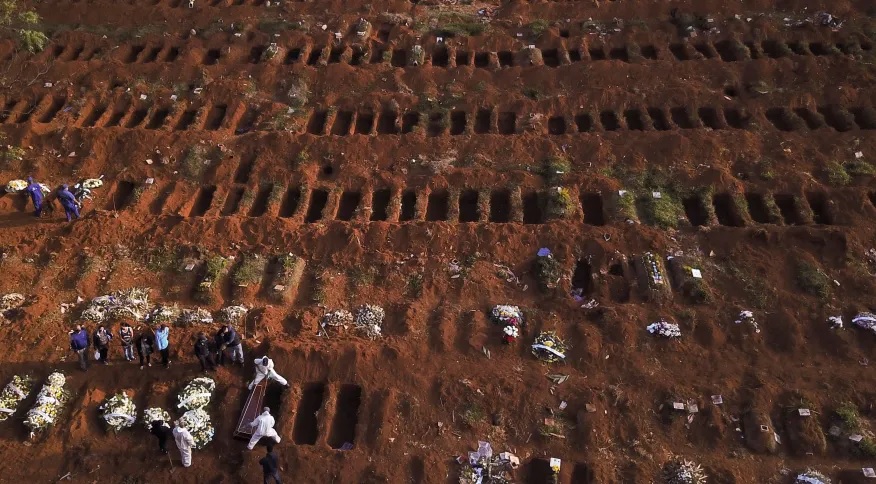 O holocausto brasileiro