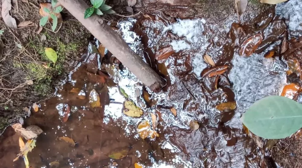 DPU pede suspensão de atividades de mineradora em área próxima a comunidades quilombolas na BA