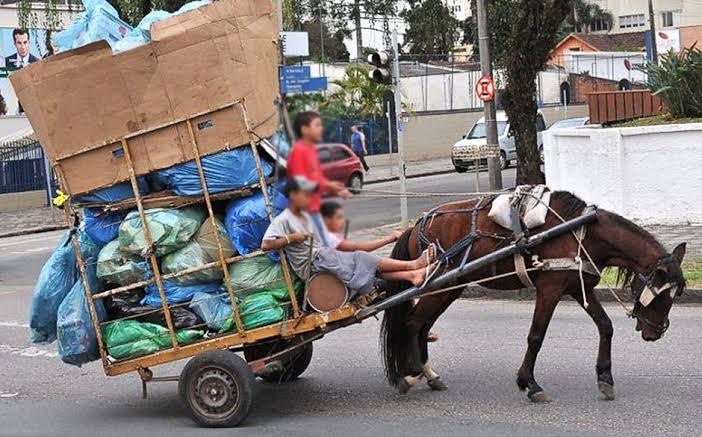 Projeto de Lei propõe acabar com a circulação de carroças no centro de Feira de Santana