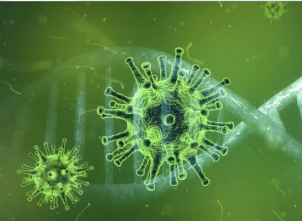 Laboratório identifica 1º caso da variante XBB.1.5 no Brasil