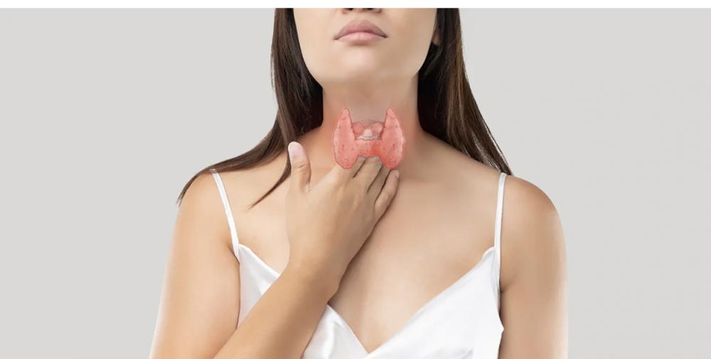 Palavra de Médico: Dr. Tarcízio Pimenta esclarece dúvidas sobre a Tireoide 