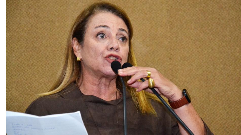 Fabíola Mansur parabeniza Elmo Vaz pela criação da Secretaria da Mulher e Cidadania em Irecê 