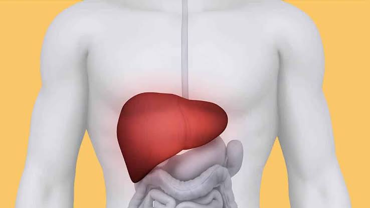 Palavra de Médico: Limpeza do Fígado 