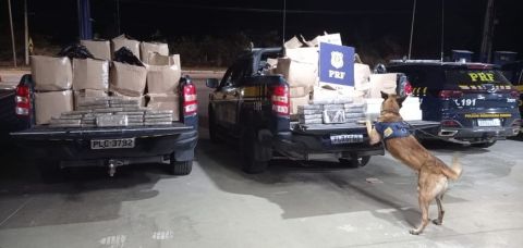 Quase uma tonelada de maconha e cocaína é apreendida em caminhão na Bahia