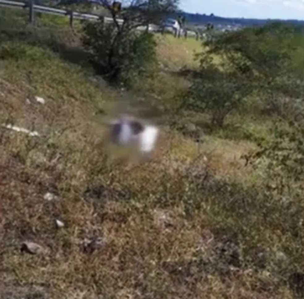 Corpo de homem é encontrado dentro de armário abandonado em rodovia na Bahia