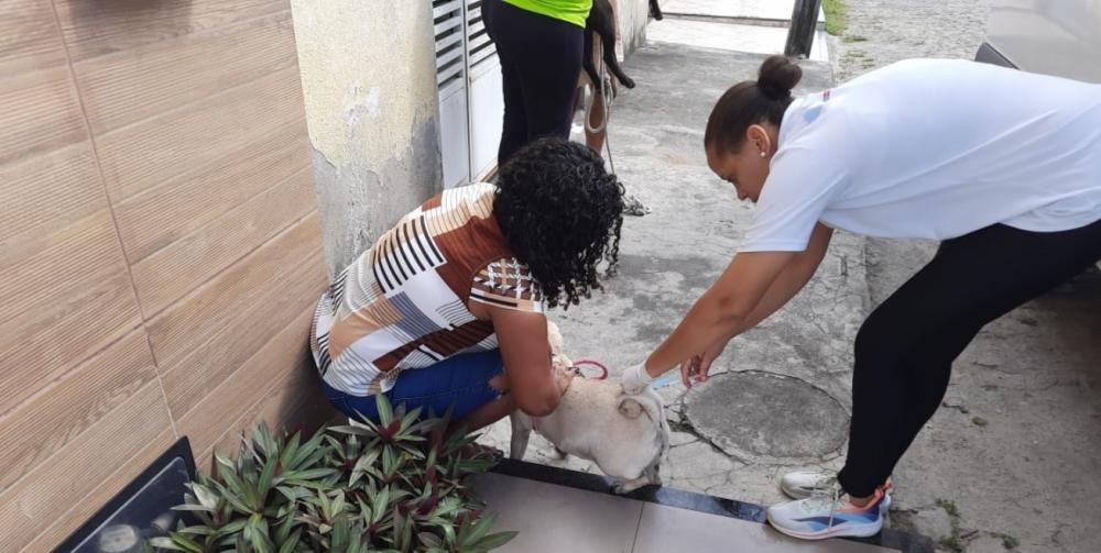 Após caso positivo de raiva, Centro de Zoonoses intensifica vacinação de animais no bairro Gabriela