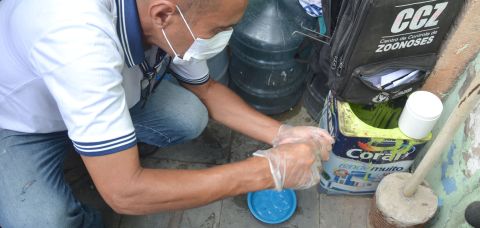 386 municípios notificados: Casos de dengue sobem 37% na Bahia