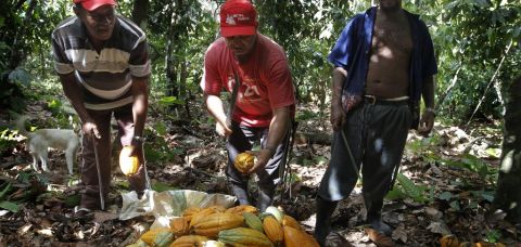 Empresa é condenada por trabalho infantil e condições de escravidão