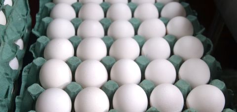 Preço do ovo tem queda na Bahia; dúzia custa até menos de R$ 10