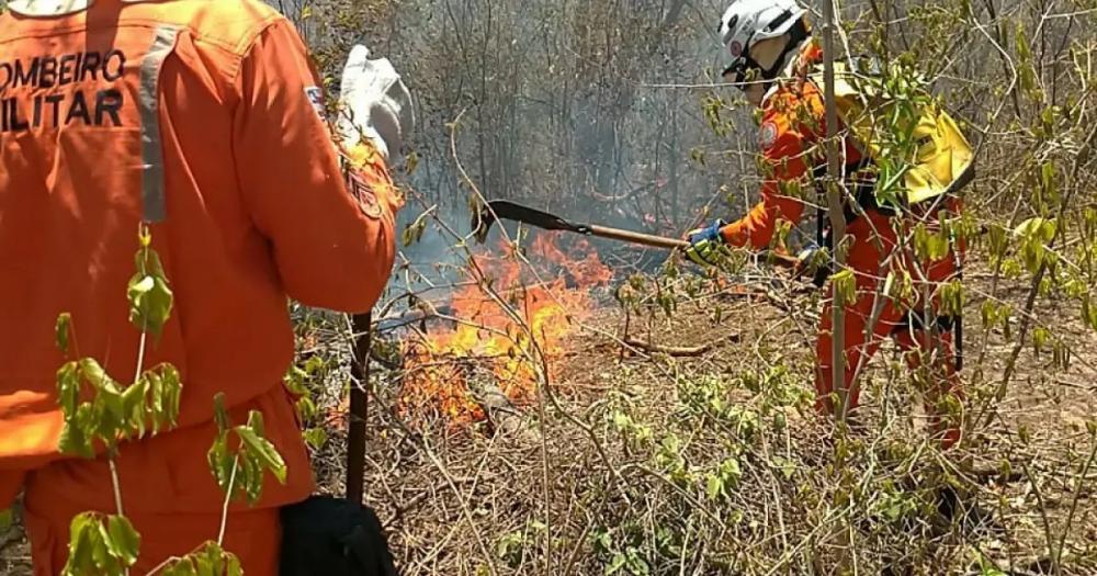 Cidades do Oeste, Chapada e Norte baiano seguem com focos de incêndio