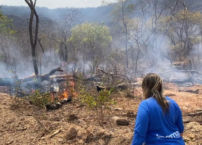 Estado suspende emissão de certificados de queimada controlada por tempo indeterminado