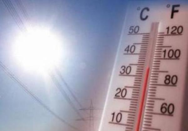 2023 tem 99% de chances de ser o ano mais quente da história do planeta