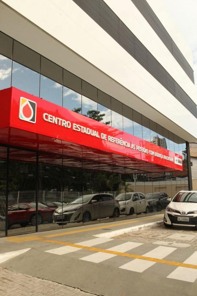 CNS destaca importância de unidade estadual de assistência à doença falciforme para a população negra