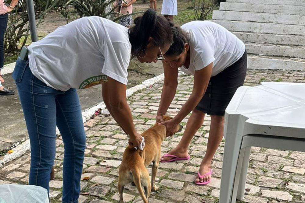 Vacinação contra a raiva segue intensificada nos bairros