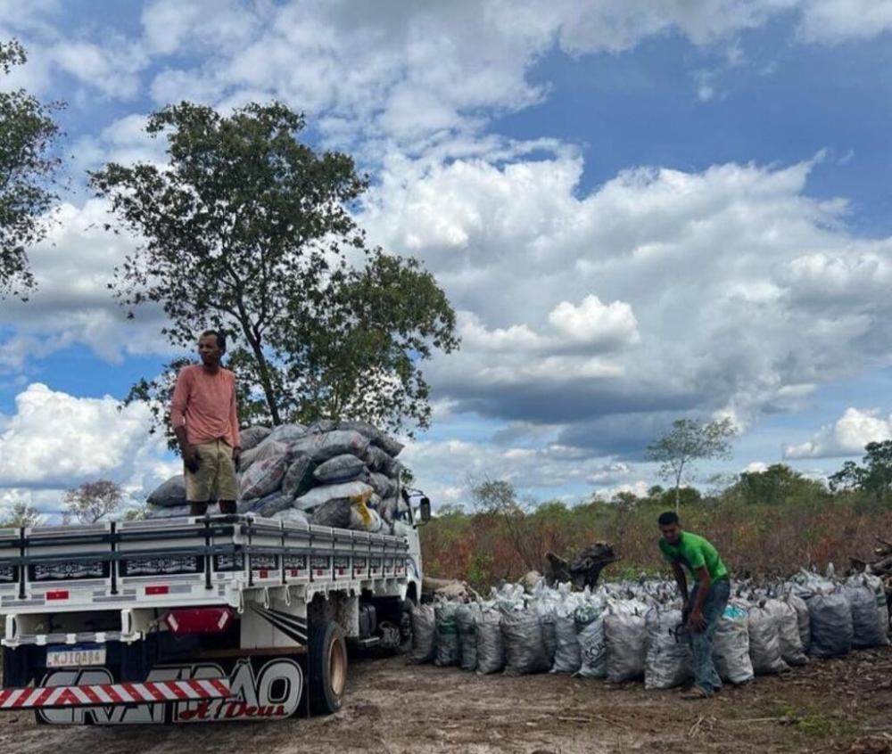 Vinte e cinco toneladas de carvão ilegal são apreendidas pela Cippa