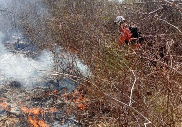 Estado envia bombeiros e aeronaves para unir esforços no combate ao incêndio no Parque Nacional do Monte Pascoal