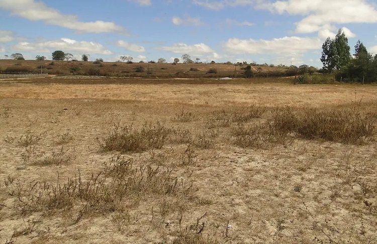 Governador em exercício decreta emergência em 5 municípios baianos