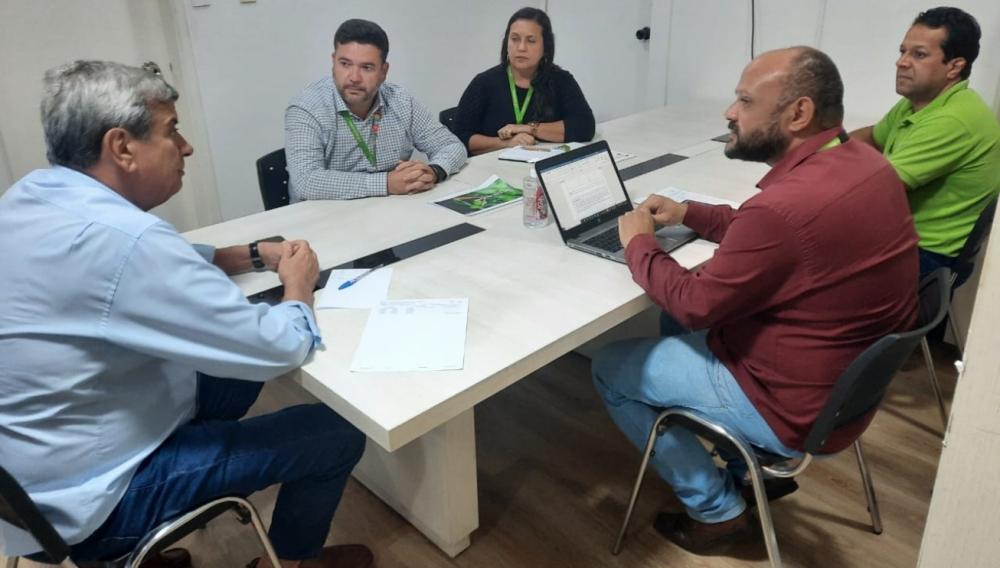 Coelba e Prefeitura de Feira firmam parceria para poda de 500 árvores