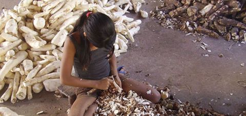 Trabalho infantil aumentou 7% no ano de 2022 no Brasil