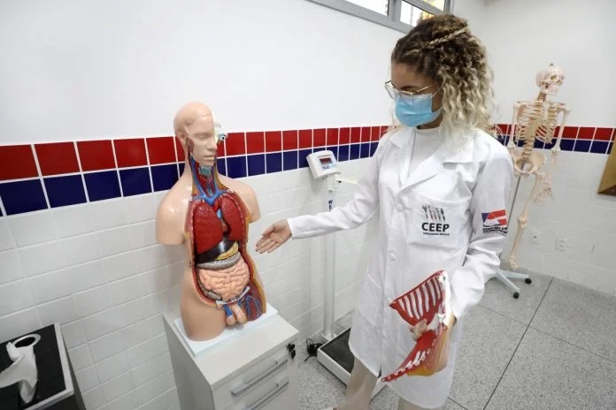 SEC publica resultado do sorteio eletrônico de vagas para cursos técnicos gratuitos