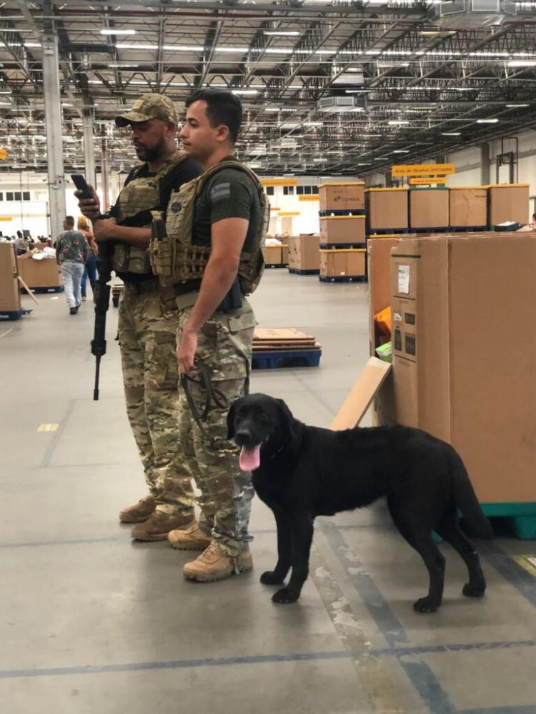 Polícia Civil apreende entorpecentes em embalagens enviadas ao Correios