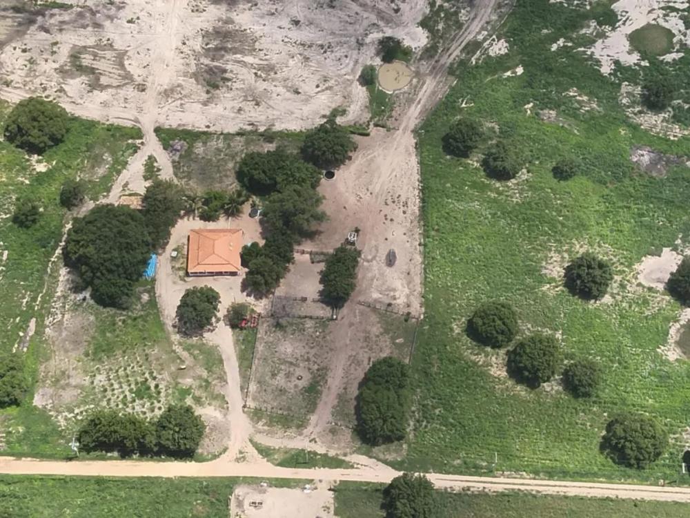 Família 'fazendeira de maconha' vira alvo da PF em Feira de Santana