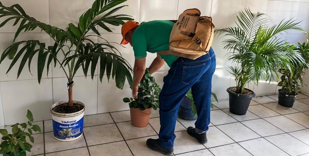 Moradores devem permitir entrada de agentes de endemias para combate da dengue