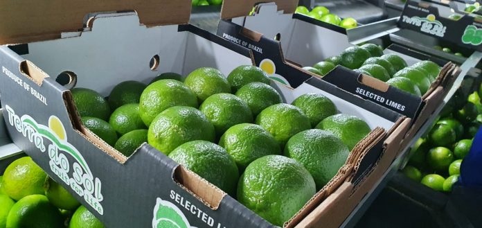 Exportações baianas recuam 20,5% em fevereiro, mas fecham o bimestre com alta de 1,4%