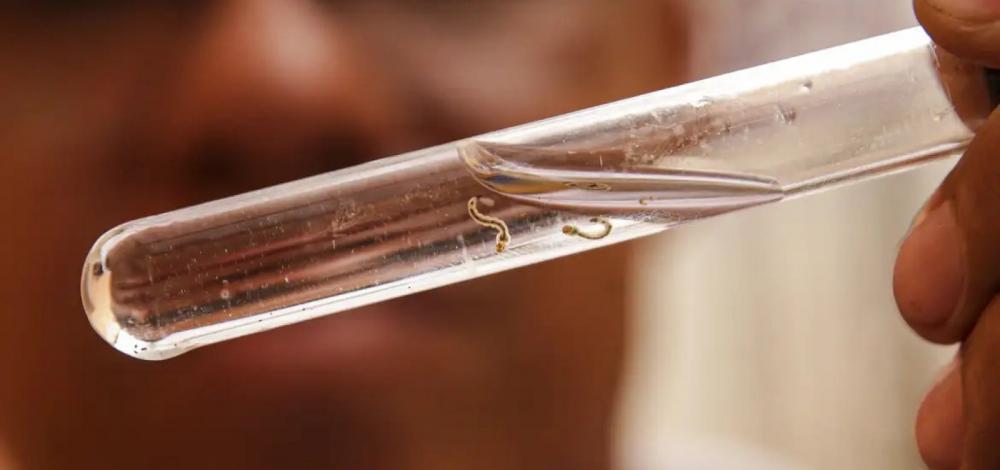 Brasil registra mais 41.322 casos prováveis de dengue e 467 mortes