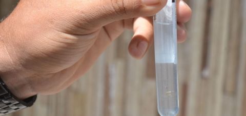 Mortos por dengue chegam a 18 na Bahia