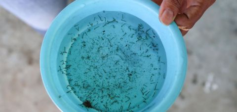 Vitória da Conquista registra novo óbito por Dengue na Bahia