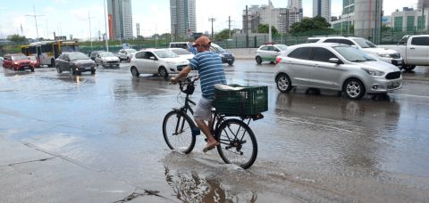Bahia registra 44 casos de leptospirose; períodos de chuvas elevam notificações