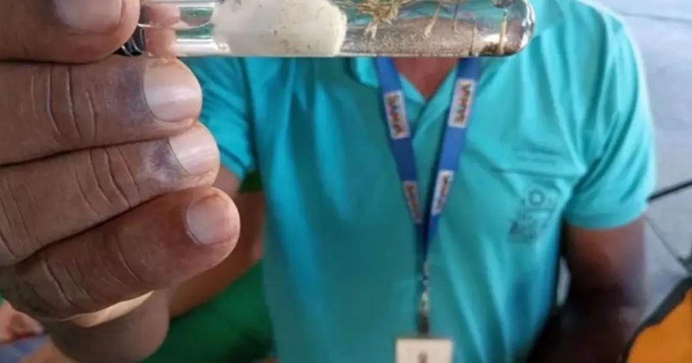 Foto: Divulgação/ Sesab