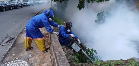 Municípios baianos intensificam ações contra a dengue