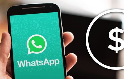 Vendas no varejo baiano crescem e ferramenta online pode impulsionar mais o faturamento; saiba qual