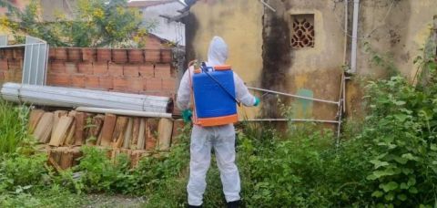 Bahia registra alta de 702,9% em casos de dengue este ano