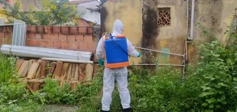 Sobe para 56 o número de mortes por dengue na Bahia