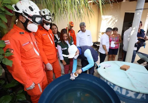 Brasil lidera ranking mundial de casos e mortes por dengue em 2024, diz OMS