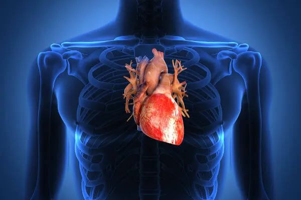 Primeiro feirense a receber transplante de coração segue estável após cirurgia