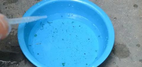 Mudanças climáticas afetam no aumento dos casos de dengue na Bahia