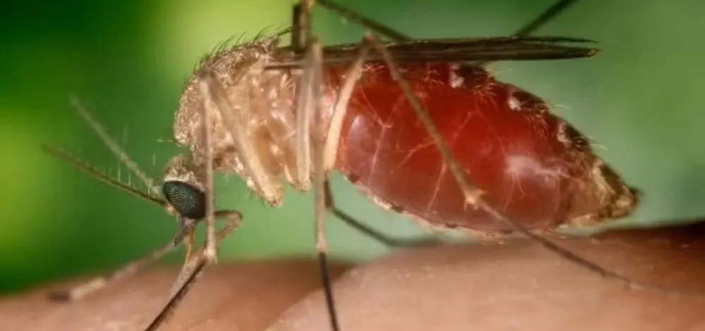 Foto: Divulgação/Sesab