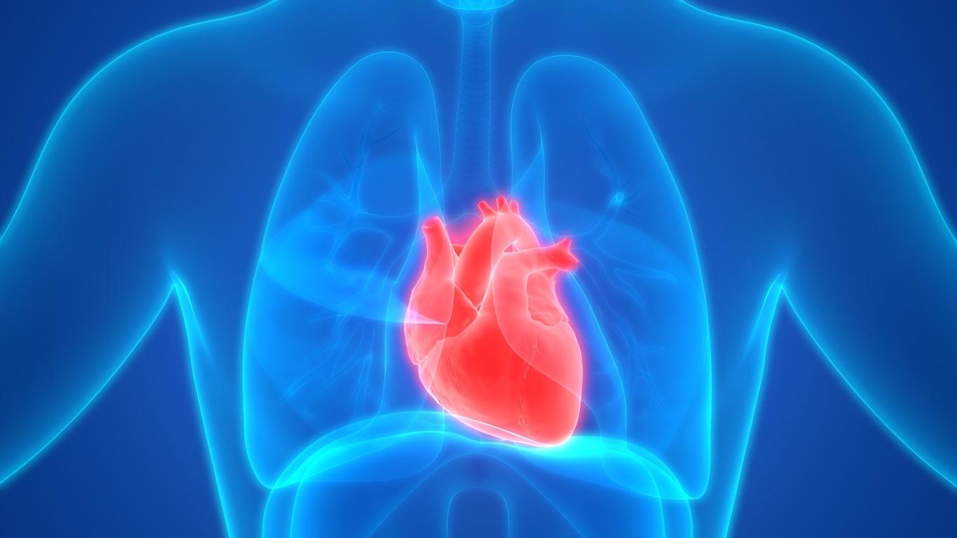 Cardiologista explica como medir corretamente a pressão arterial em casa