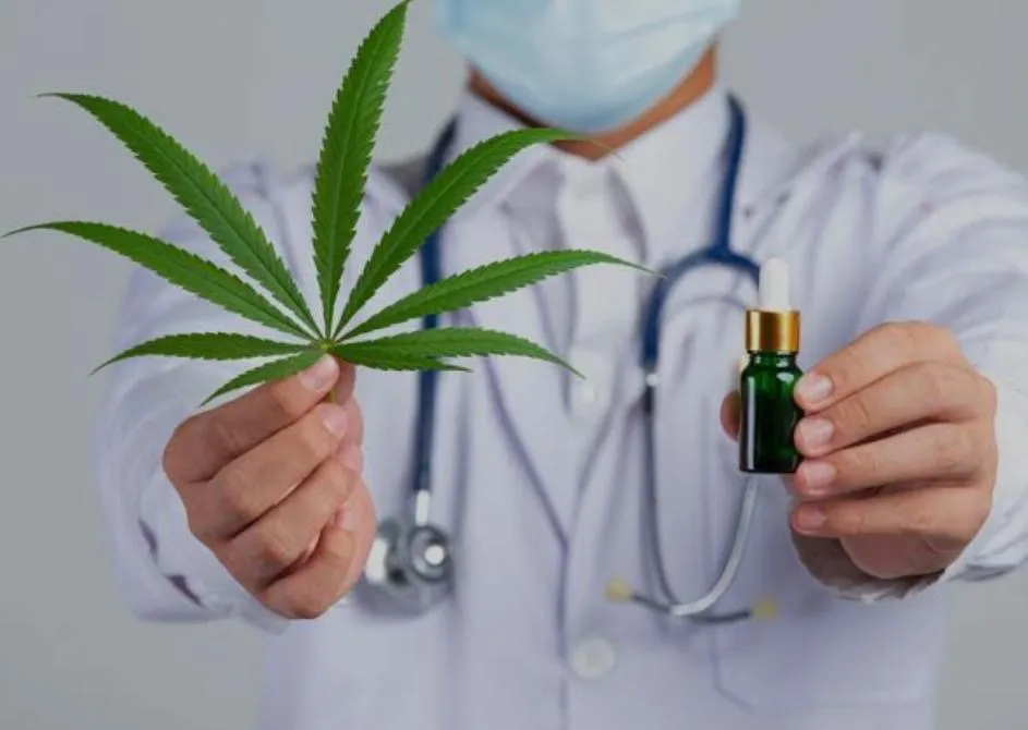 Aumenta em 300% procura por tratamentos com  Canabis Medicinal para dores e bruxismo