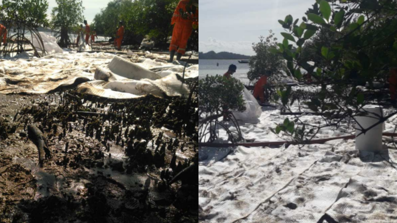 Empresa ligada à Petrobras é multada em mais de R$ 200 mil pelo MP por derramamento de óleo na Bahia; veja imagens