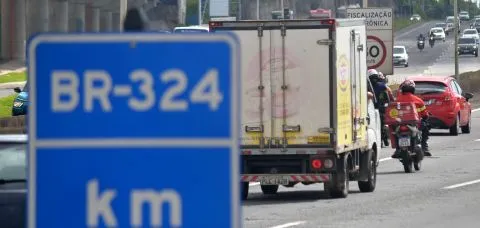 Bahia registra aumento de acidentes causados por animais nas rodovias federais